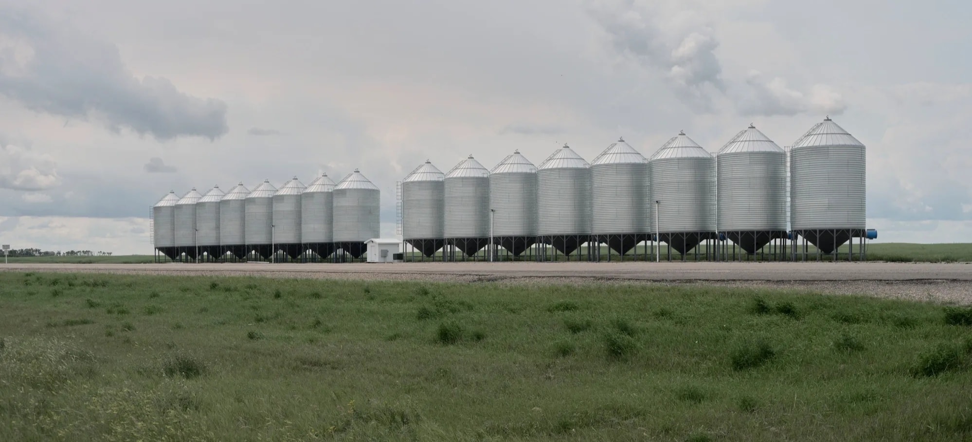 Agricultural Services